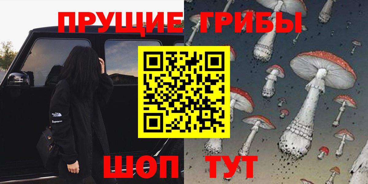 Псилоцибиновые грибы Psilocybe Майский