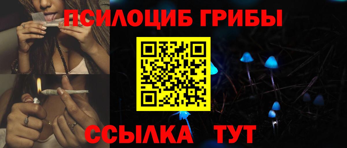 Майский  Псилоцибиновые грибы Psilocybine cubensis  Псилоцибиновые грибы GOLDEN TEACHER  купить   Вход с VPN 